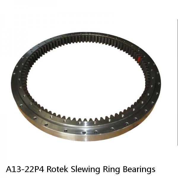 A13-22P4 Rotek Slewing Ring Bearings