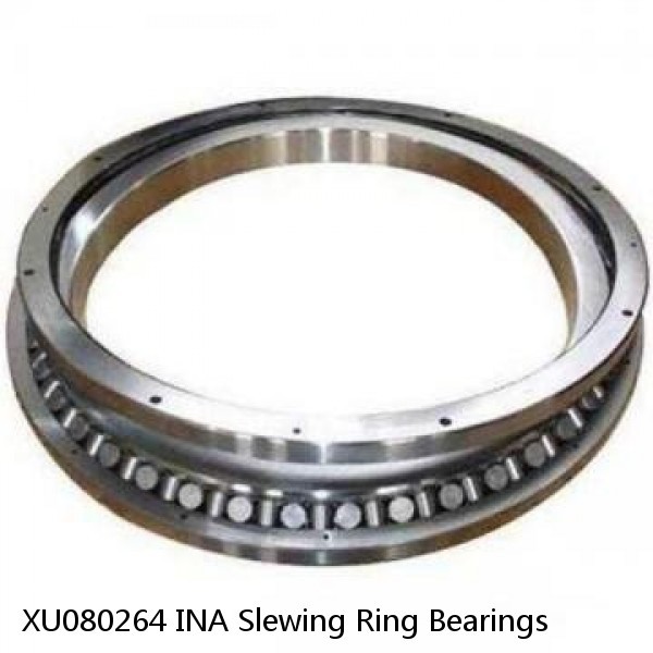 XU080264 INA Slewing Ring Bearings