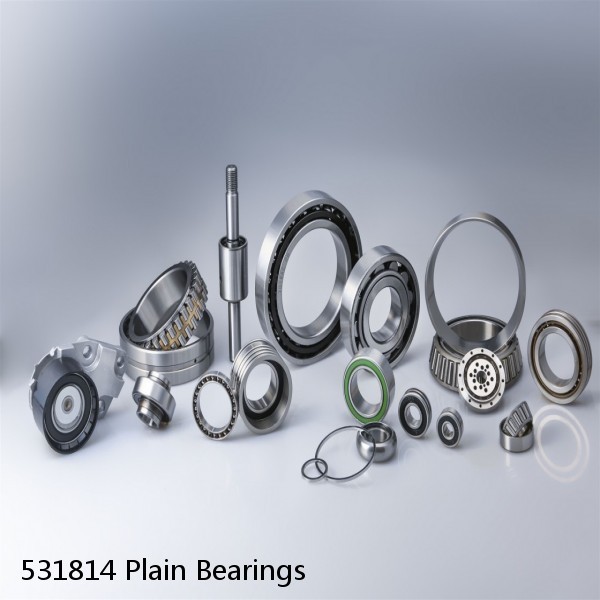 531814 Plain Bearings