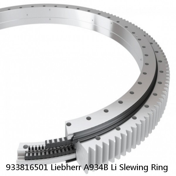 933816501 Liebherr A934B Li Slewing Ring