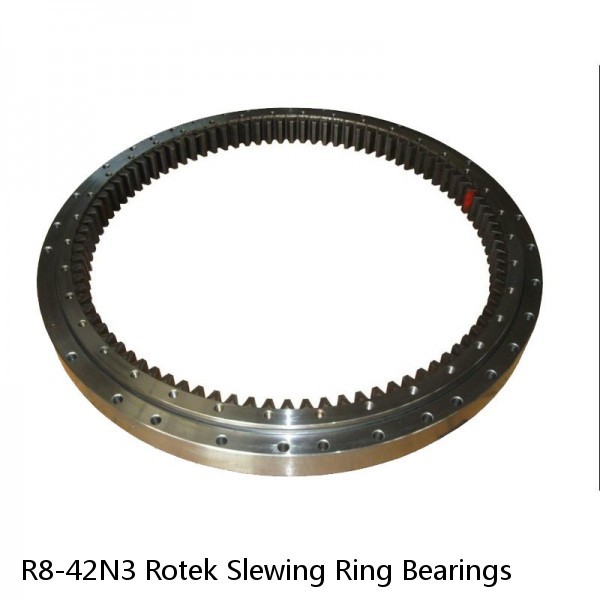 R8-42N3 Rotek Slewing Ring Bearings