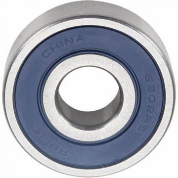 6300 6301 6302 6303 6304 6305 Open/Zz/2RS Deep Groove Ball Bearing Gcr15 Material with High Quality for Motorcycle Parts Bicycle Parts Auto Bearings