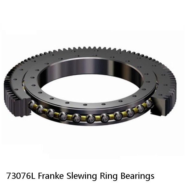 73076L Franke Slewing Ring Bearings