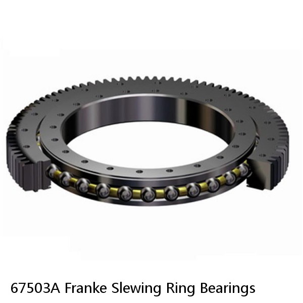 67503A Franke Slewing Ring Bearings