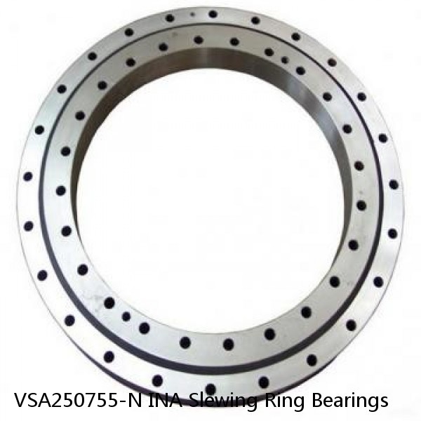 VSA250755-N INA Slewing Ring Bearings