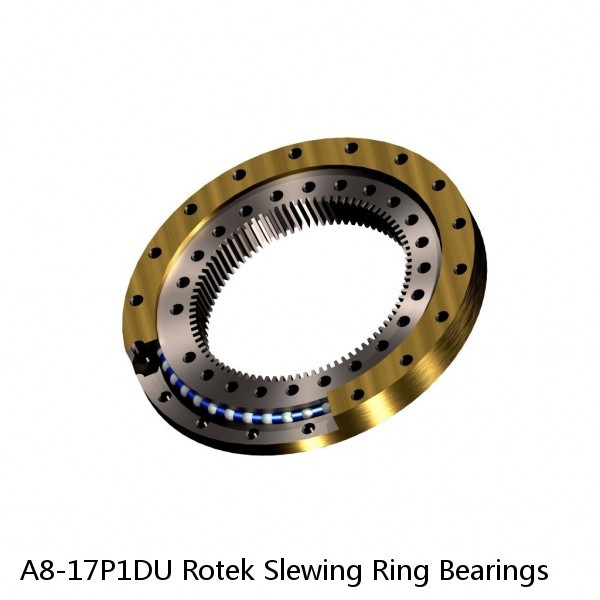 A8-17P1DU Rotek Slewing Ring Bearings #1 small image