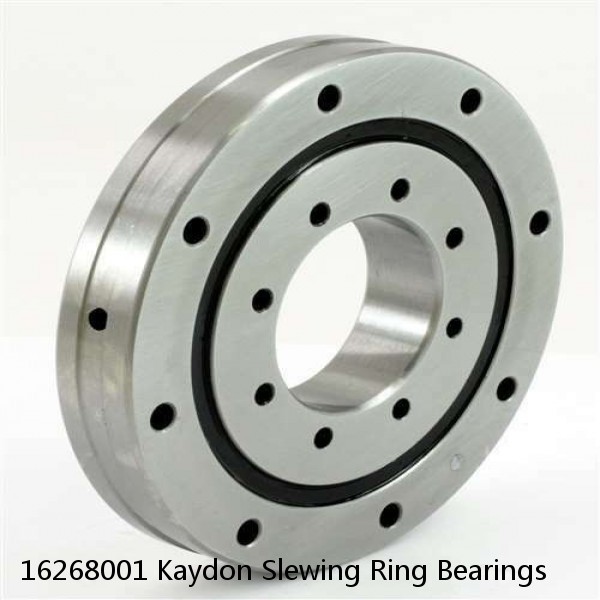 16268001 Kaydon Slewing Ring Bearings #1 small image