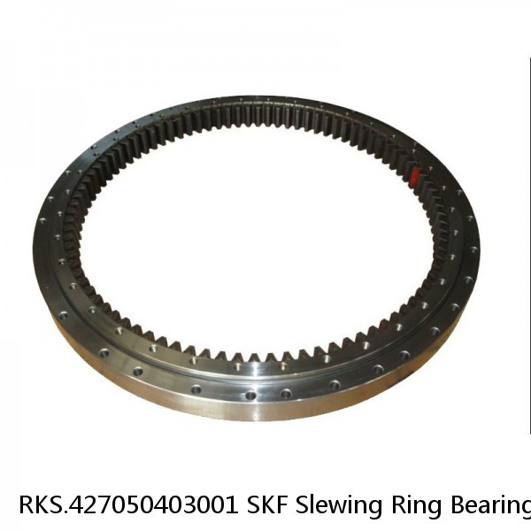 RKS.427050403001 SKF Slewing Ring Bearings #1 small image