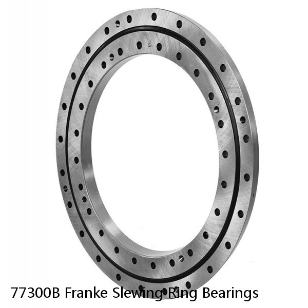 77300B Franke Slewing Ring Bearings #1 small image