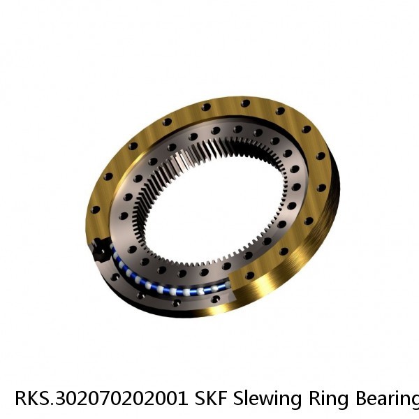 RKS.302070202001 SKF Slewing Ring Bearings #1 small image