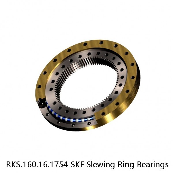 RKS.160.16.1754 SKF Slewing Ring Bearings #1 small image