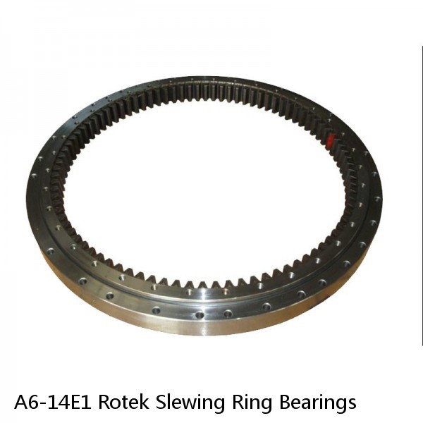 A6-14E1 Rotek Slewing Ring Bearings #1 small image