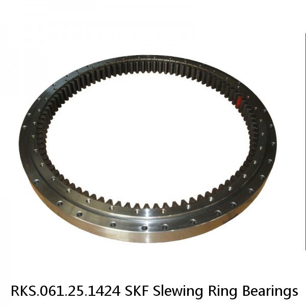 RKS.061.25.1424 SKF Slewing Ring Bearings #1 small image