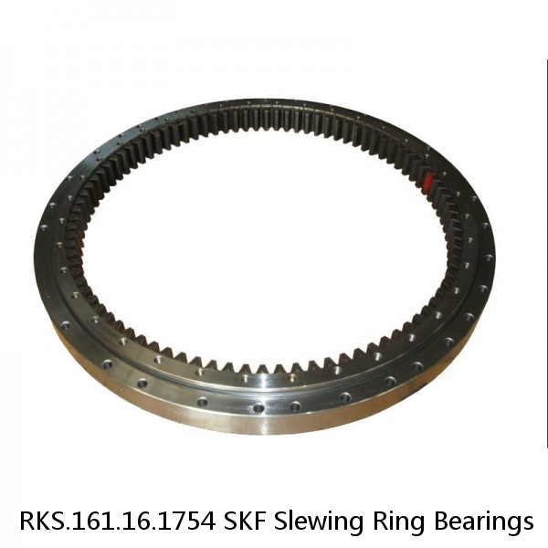 RKS.161.16.1754 SKF Slewing Ring Bearings #1 small image