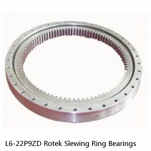 L6-22P9ZD Rotek Slewing Ring Bearings #1 small image