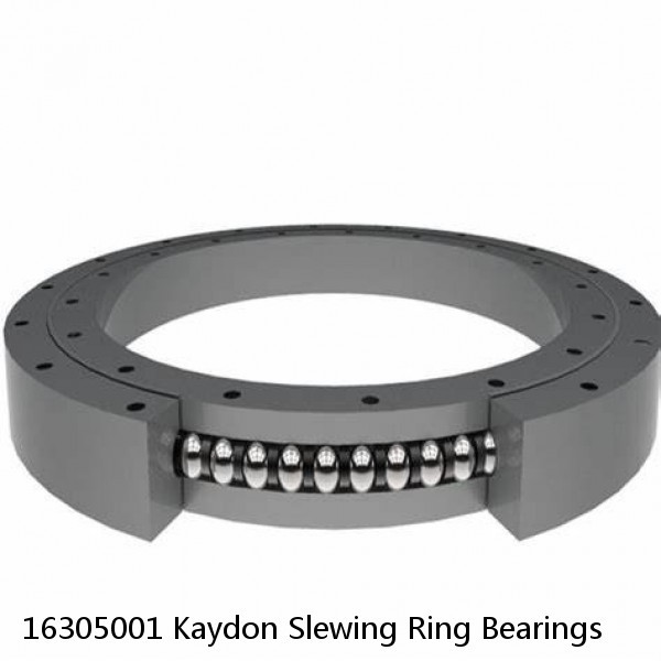 16305001 Kaydon Slewing Ring Bearings #1 small image