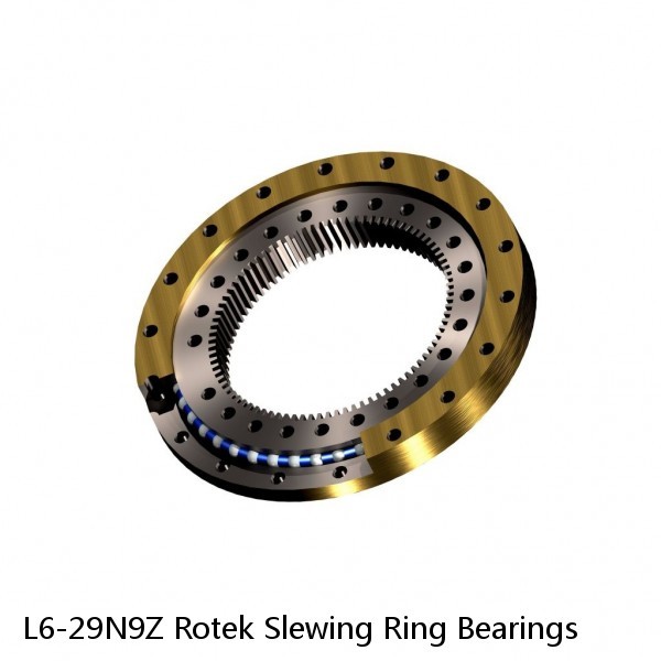 L6-29N9Z Rotek Slewing Ring Bearings