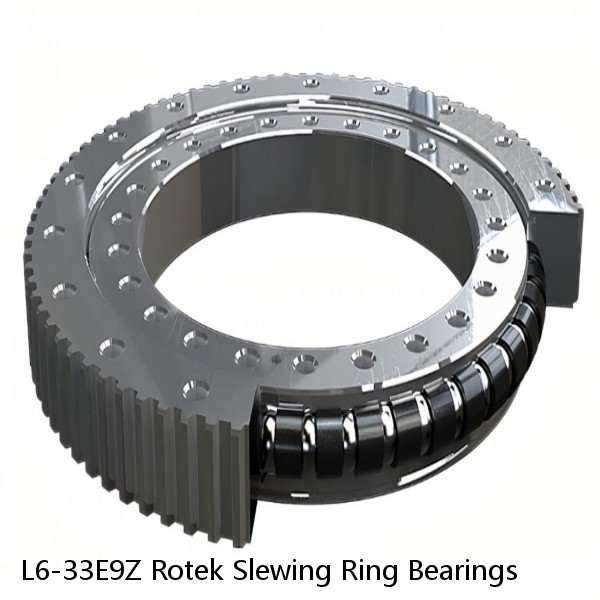 L6-33E9Z Rotek Slewing Ring Bearings #1 small image