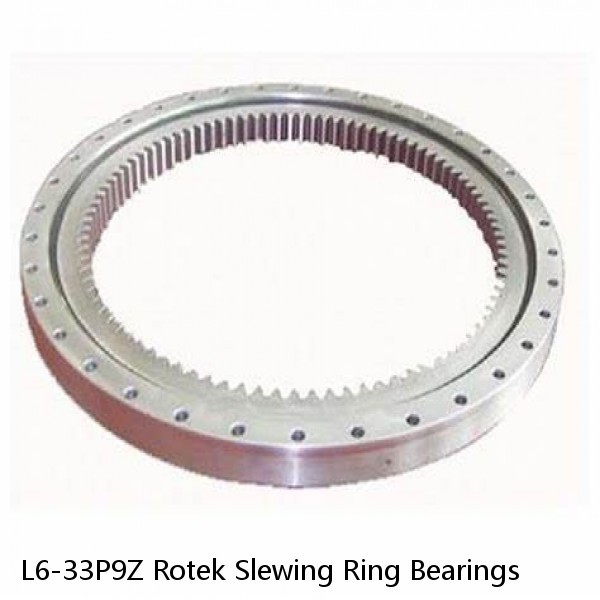 L6-33P9Z Rotek Slewing Ring Bearings #1 small image