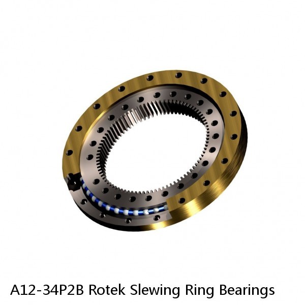 A12-34P2B Rotek Slewing Ring Bearings #1 small image