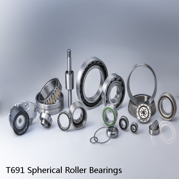 T691 Spherical Roller Bearings #1 small image