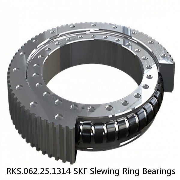 RKS.062.25.1314 SKF Slewing Ring Bearings #1 small image