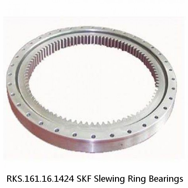 RKS.161.16.1424 SKF Slewing Ring Bearings