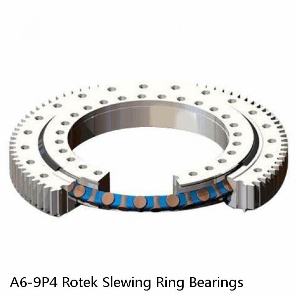 A6-9P4 Rotek Slewing Ring Bearings