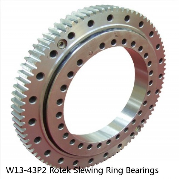 W13-43P2 Rotek Slewing Ring Bearings #1 small image