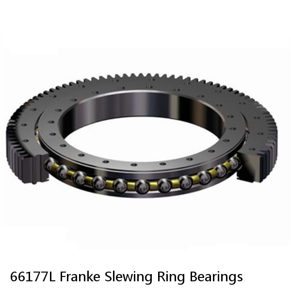 66177L Franke Slewing Ring Bearings #1 small image