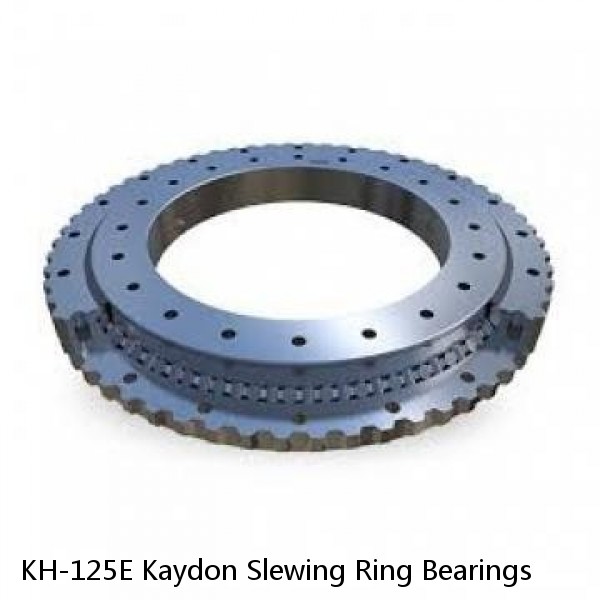 KH-125E Kaydon Slewing Ring Bearings #1 small image