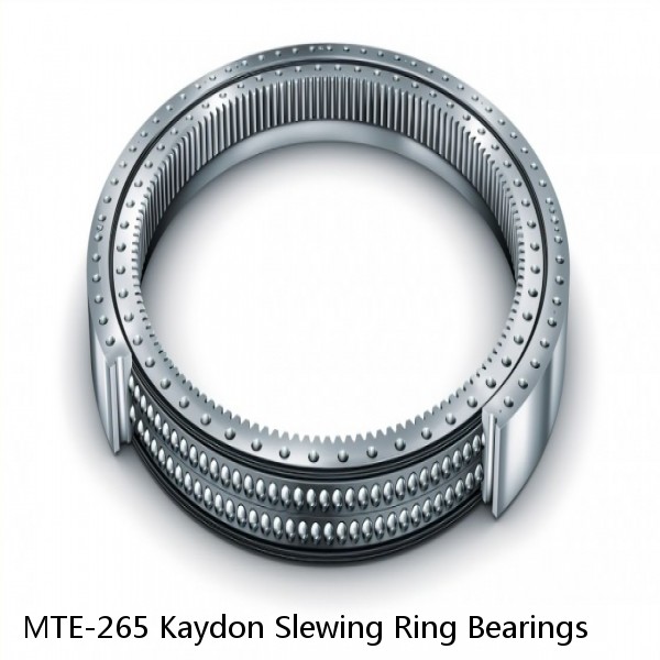 MTE-265 Kaydon Slewing Ring Bearings #1 small image