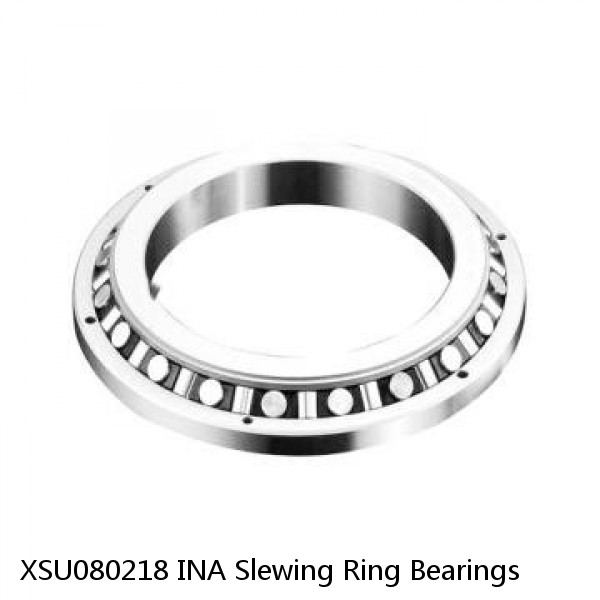 XSU080218 INA Slewing Ring Bearings #1 small image