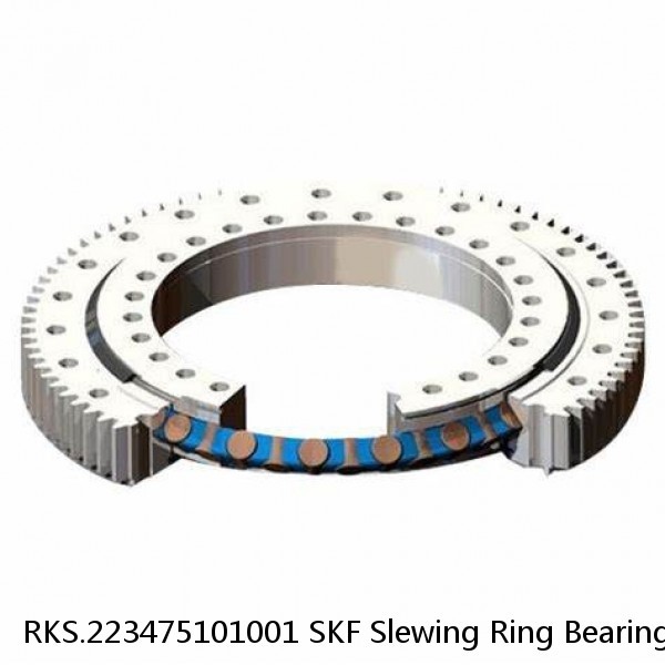 RKS.223475101001 SKF Slewing Ring Bearings #1 small image