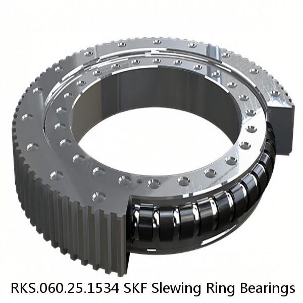 RKS.060.25.1534 SKF Slewing Ring Bearings #1 small image