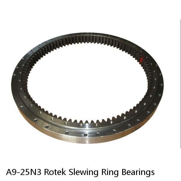 A9-25N3 Rotek Slewing Ring Bearings #1 small image