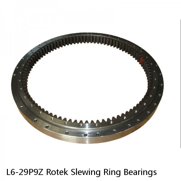 L6-29P9Z Rotek Slewing Ring Bearings #1 small image