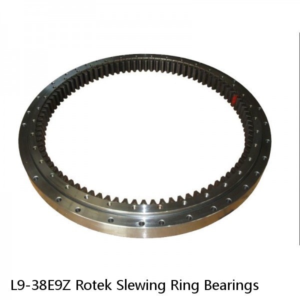 L9-38E9Z Rotek Slewing Ring Bearings #1 small image