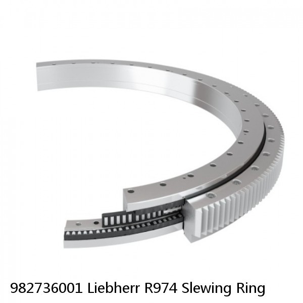 982736001 Liebherr R974 Slewing Ring #1 small image