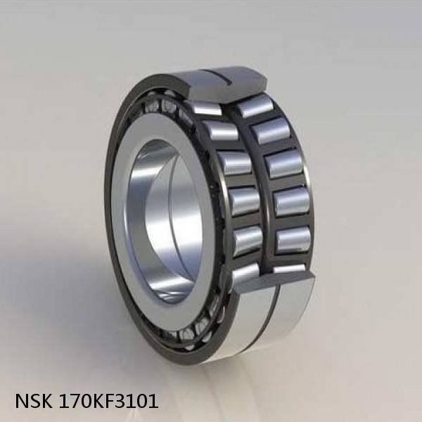 170KF3101 NSK Tapered roller bearing