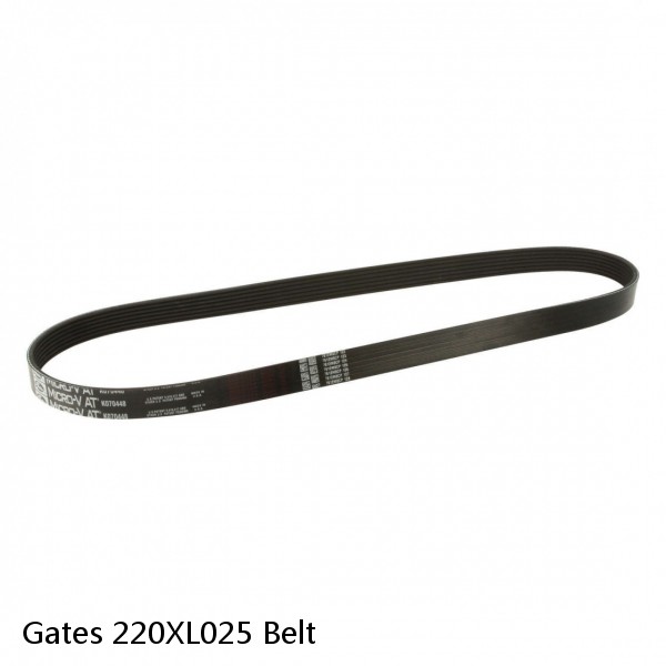 Gates 220XL025 Belt #1 small image