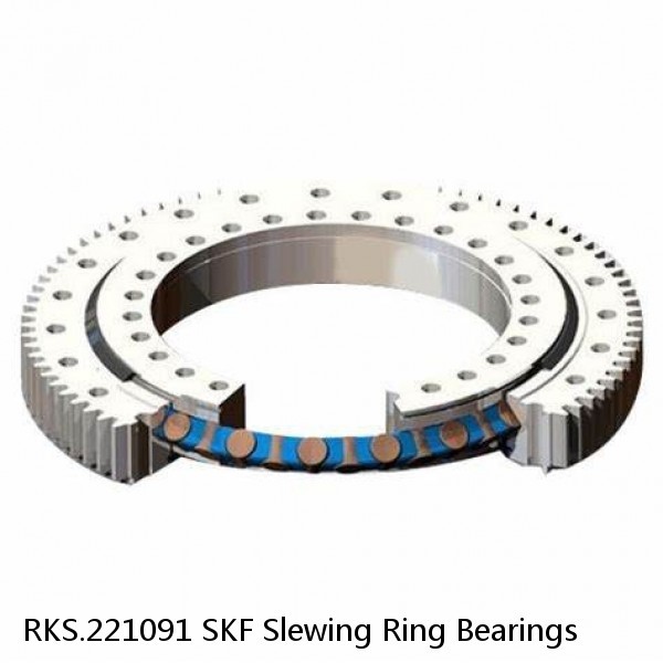 RKS.221091 SKF Slewing Ring Bearings #1 image