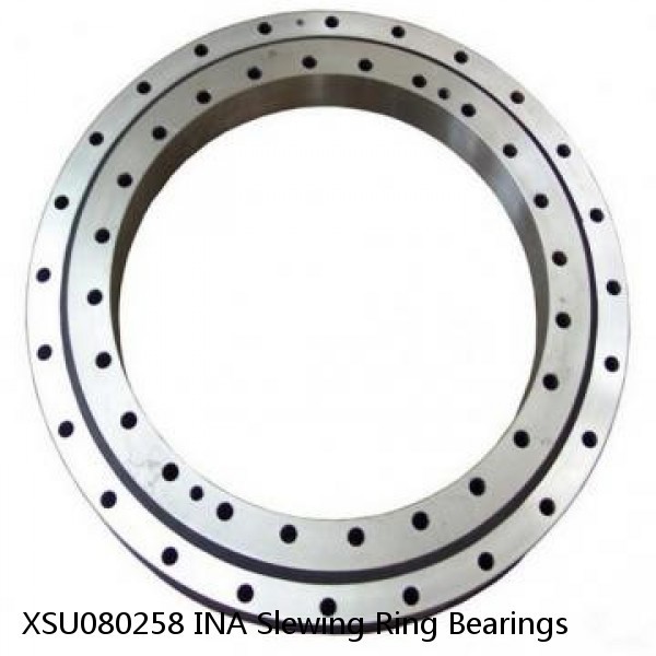 XSU080258 INA Slewing Ring Bearings #1 image