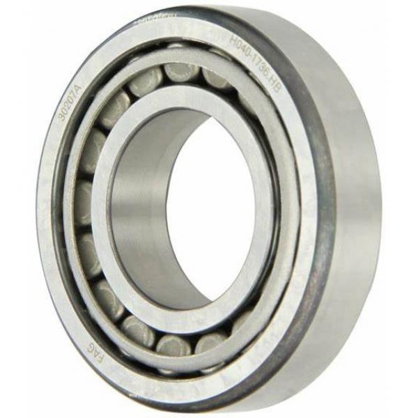 6005DDU/Deep Groove Ball Bearings/Japan Bearing #1 image