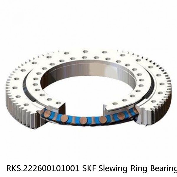 RKS.222600101001 SKF Slewing Ring Bearings #1 image