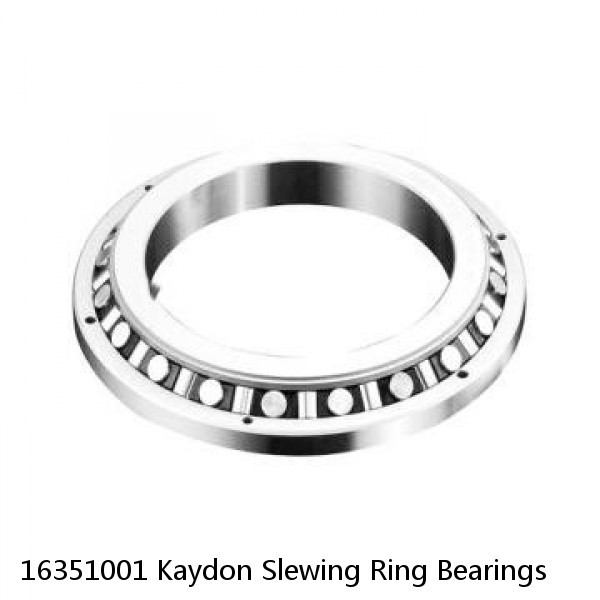 16351001 Kaydon Slewing Ring Bearings #1 image