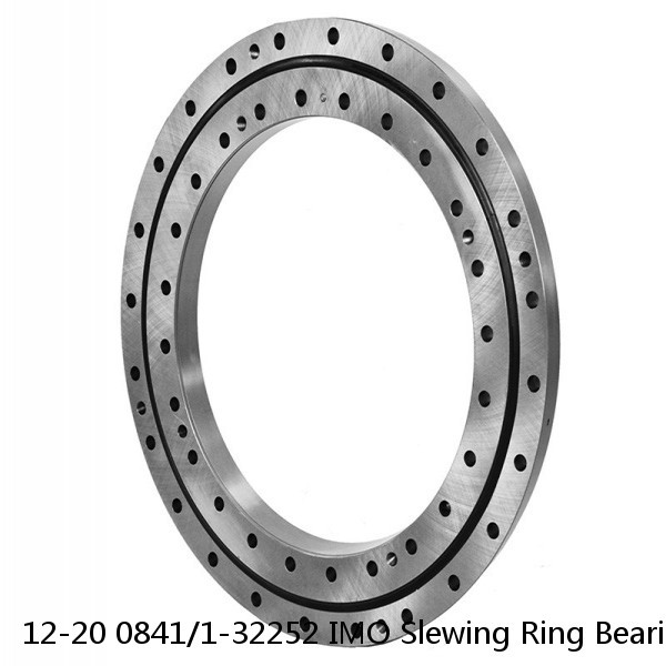 12-20 0841/1-32252 IMO Slewing Ring Bearings #1 image