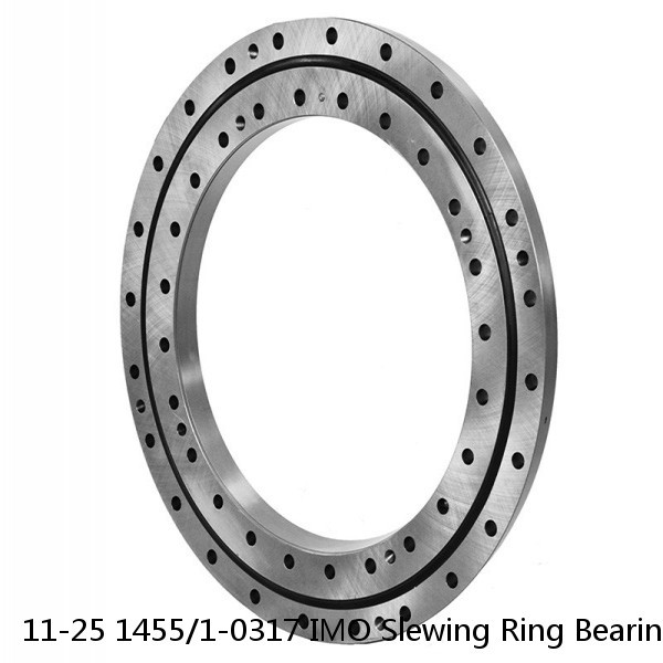 11-25 1455/1-0317 IMO Slewing Ring Bearings #1 image