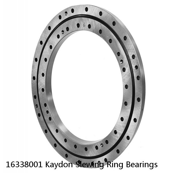 16338001 Kaydon Slewing Ring Bearings #1 image