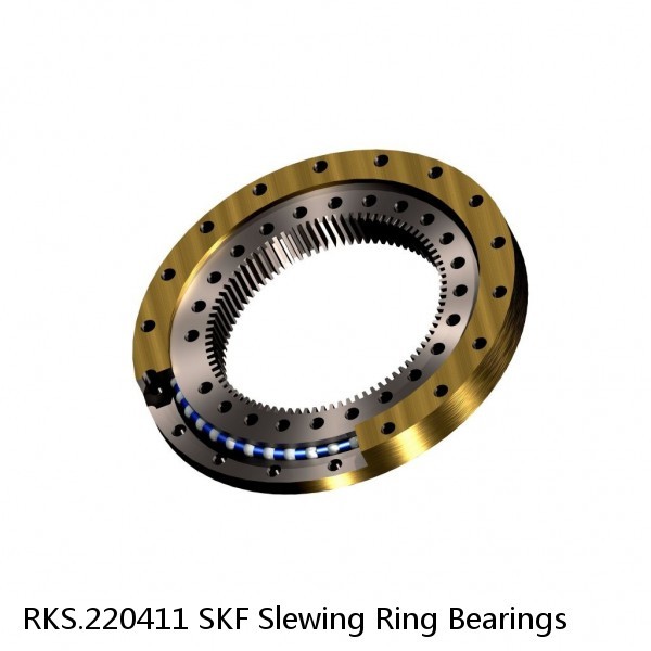 RKS.220411 SKF Slewing Ring Bearings #1 image